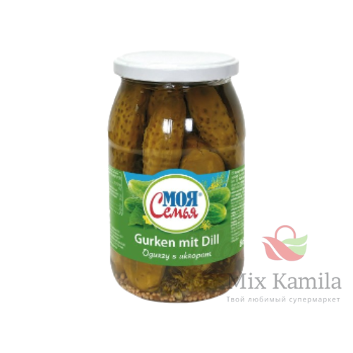 "MOJA SEMJA" Pickled cucumbers with dill