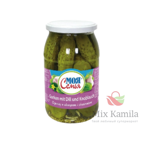 "MOJA SEMJA" Pickled cucumbers with dill and garlic.