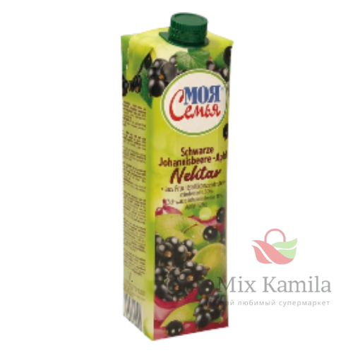 "MOJA SEMJA" Blackcurrant – apple nectar from fruit juice concentrates